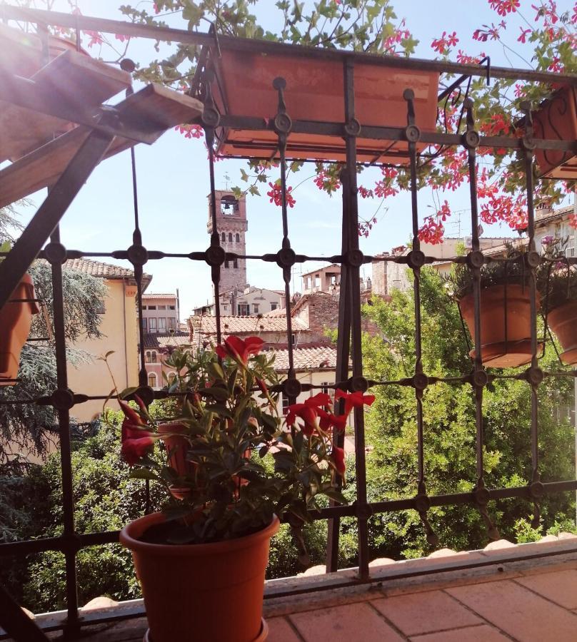 Bed And Breakfast Evelina Lucca Exterior photo