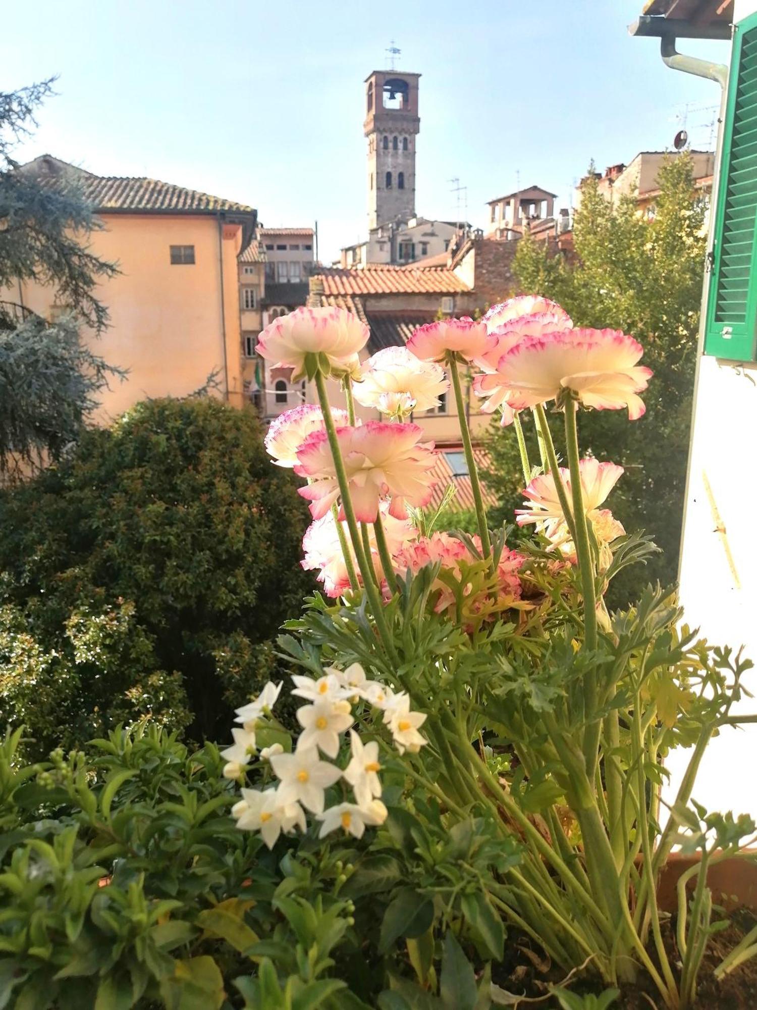 Bed And Breakfast Evelina Lucca Exterior photo